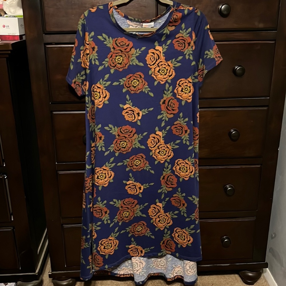 Carly Dress, worn maybe 2x